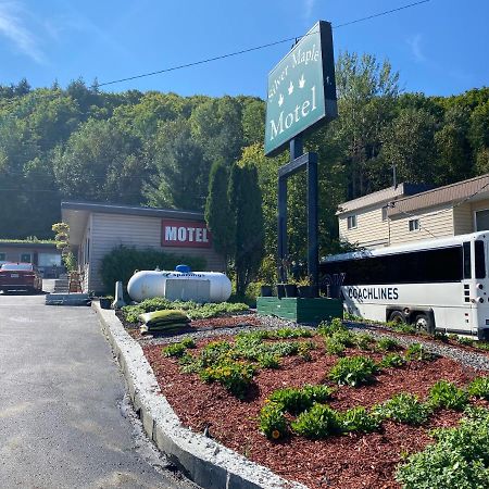Silver Maple Motel Haliburton Exterior foto